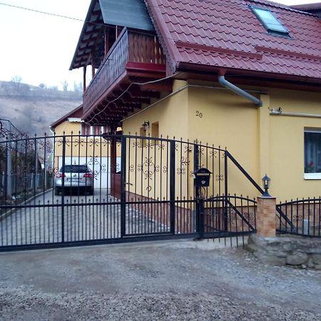 Hotel Casa Vio Sighișoara Zewnętrze zdjęcie
