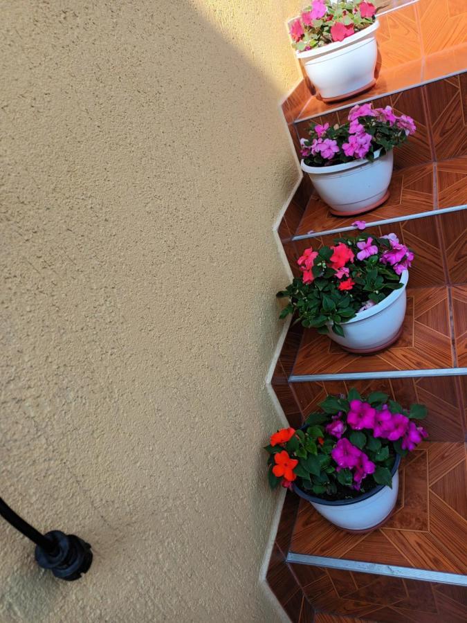 Hotel Casa Vio Sighișoara Zewnętrze zdjęcie