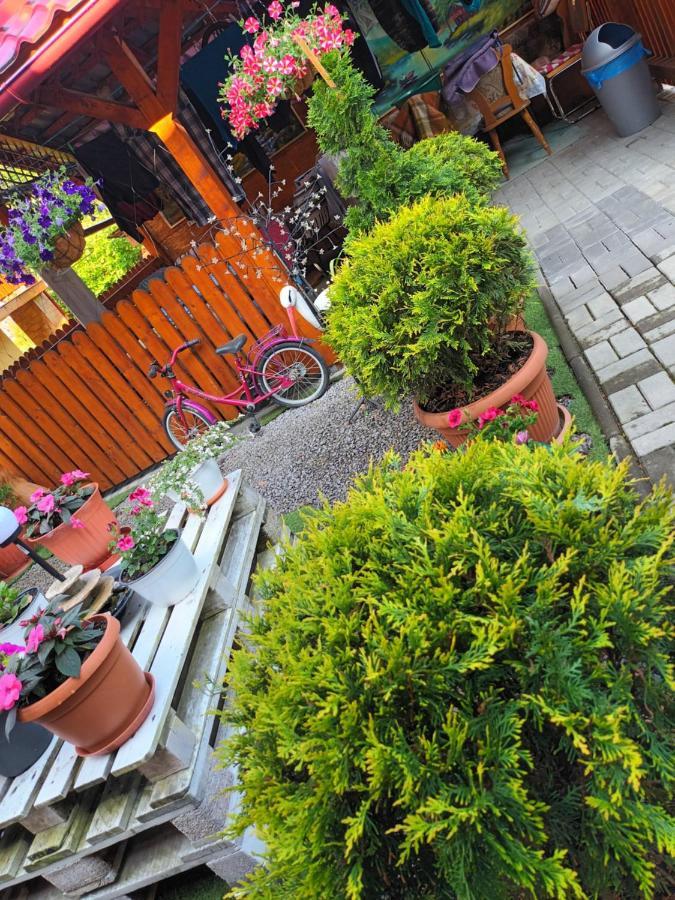 Hotel Casa Vio Sighișoara Zewnętrze zdjęcie