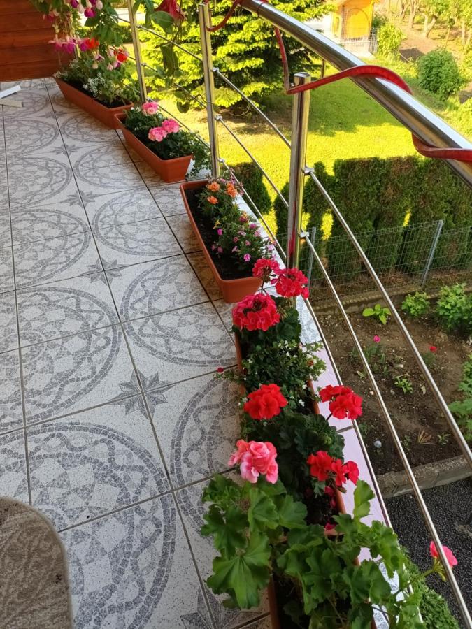 Hotel Casa Vio Sighișoara Zewnętrze zdjęcie