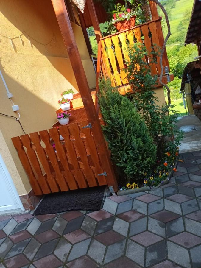 Hotel Casa Vio Sighișoara Zewnętrze zdjęcie