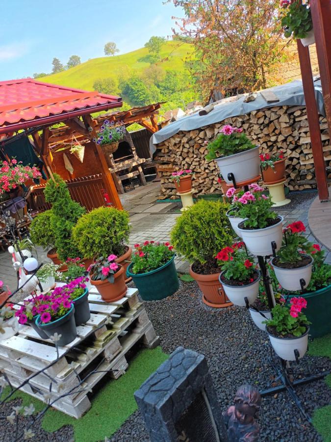 Hotel Casa Vio Sighișoara Zewnętrze zdjęcie
