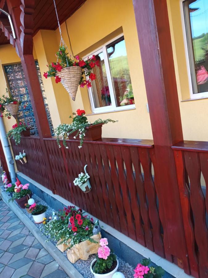 Hotel Casa Vio Sighișoara Zewnętrze zdjęcie