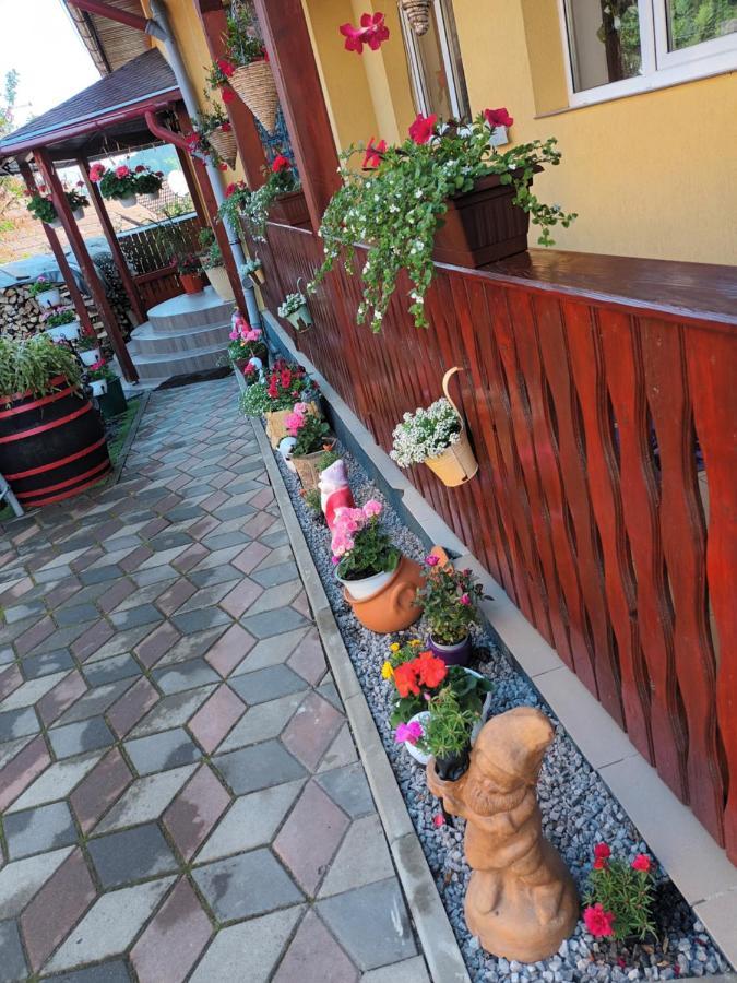 Hotel Casa Vio Sighișoara Zewnętrze zdjęcie