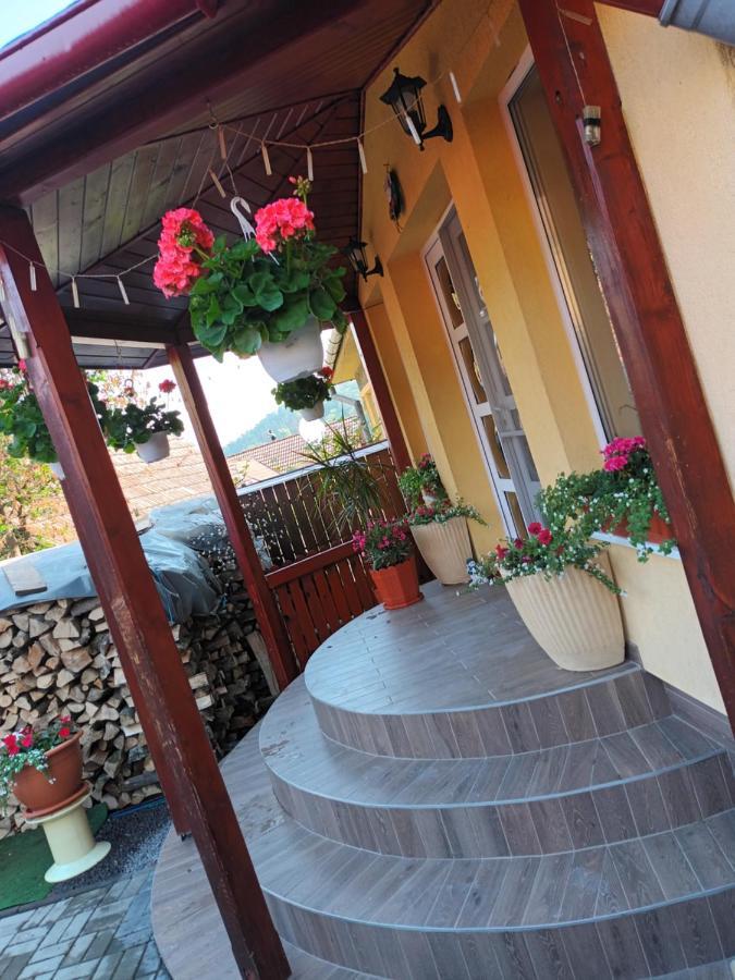 Hotel Casa Vio Sighișoara Zewnętrze zdjęcie